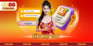 Đăng Nhập CO88 - Nhanh Chóng Để Tham Gia Cá Cược 2026