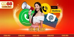 Liên Hệ CO88 - Nhận Sự Hỗ Trợ Chuyên Nghiệp, Bài Bản
