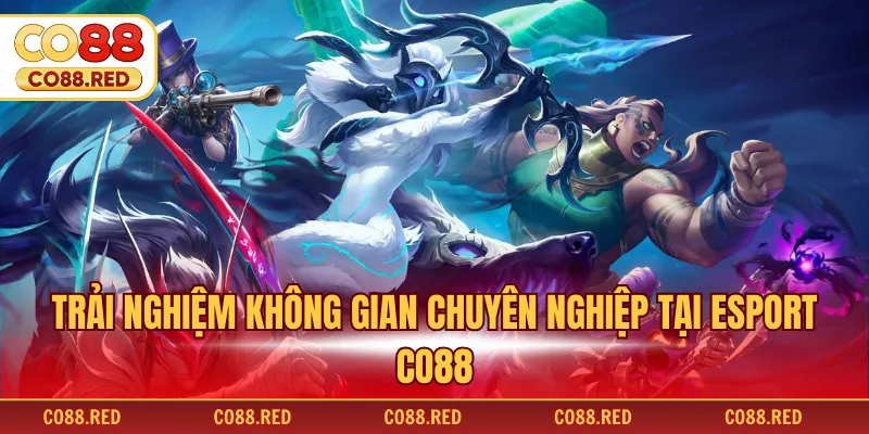 Trải nghiệm không gian chuyên nghiệp tại esport CO88